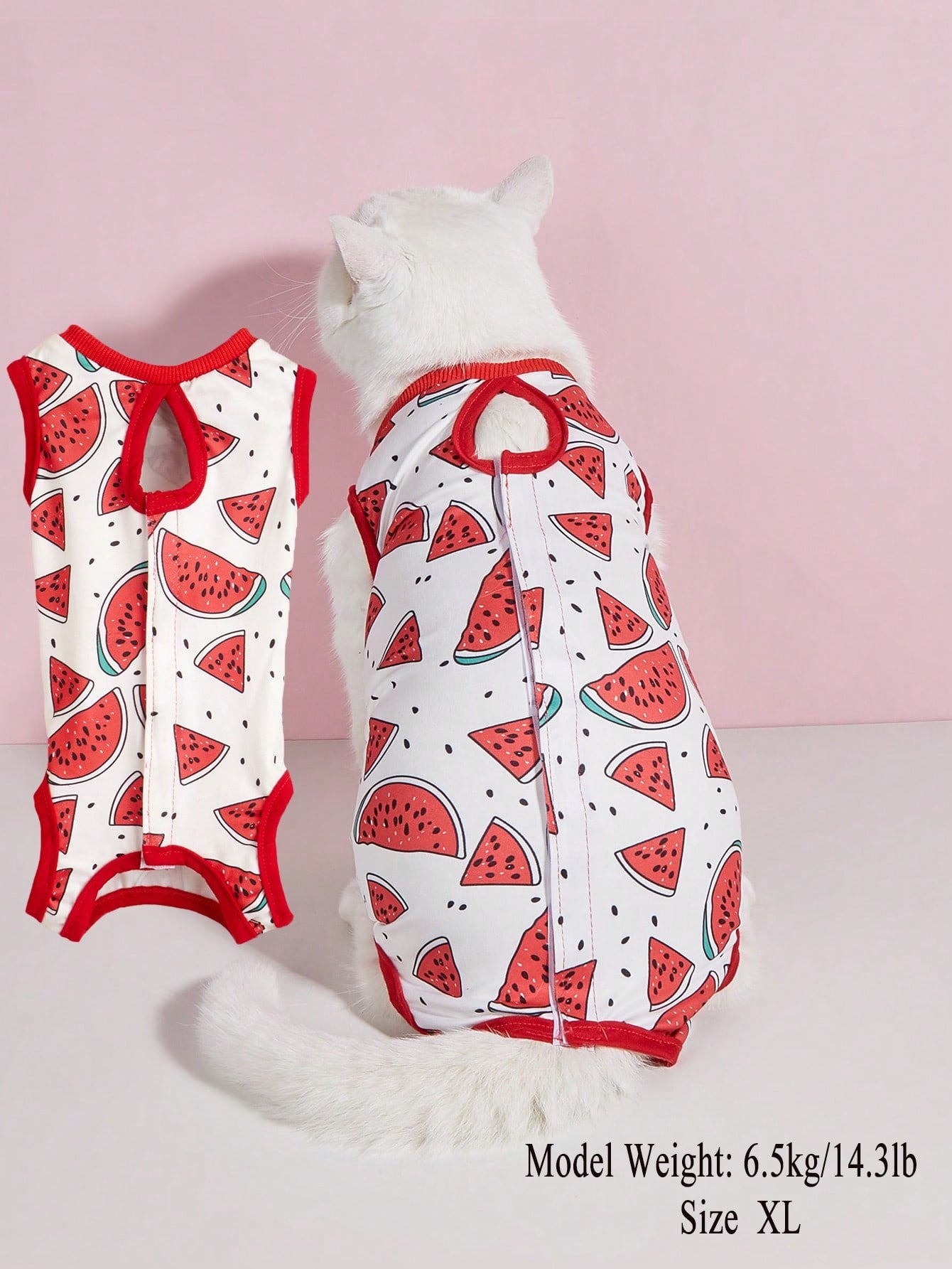 Cat Spay/Neuter Recovery Suit, Female Cat Post-Surgery Clothing, Weaning Suit, Soft Thin 4-Leg Cat Anti-Licking Warm Suit