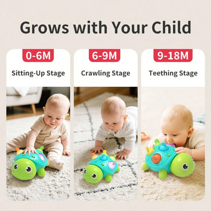 0-6 Months Baby Toys, Musical Turtle Crawling Toy, All-Round Turtle Toy With Lights And Sounds, Educational Developmental Toys, Suitable For 0-1 Year Old Boys And Girls