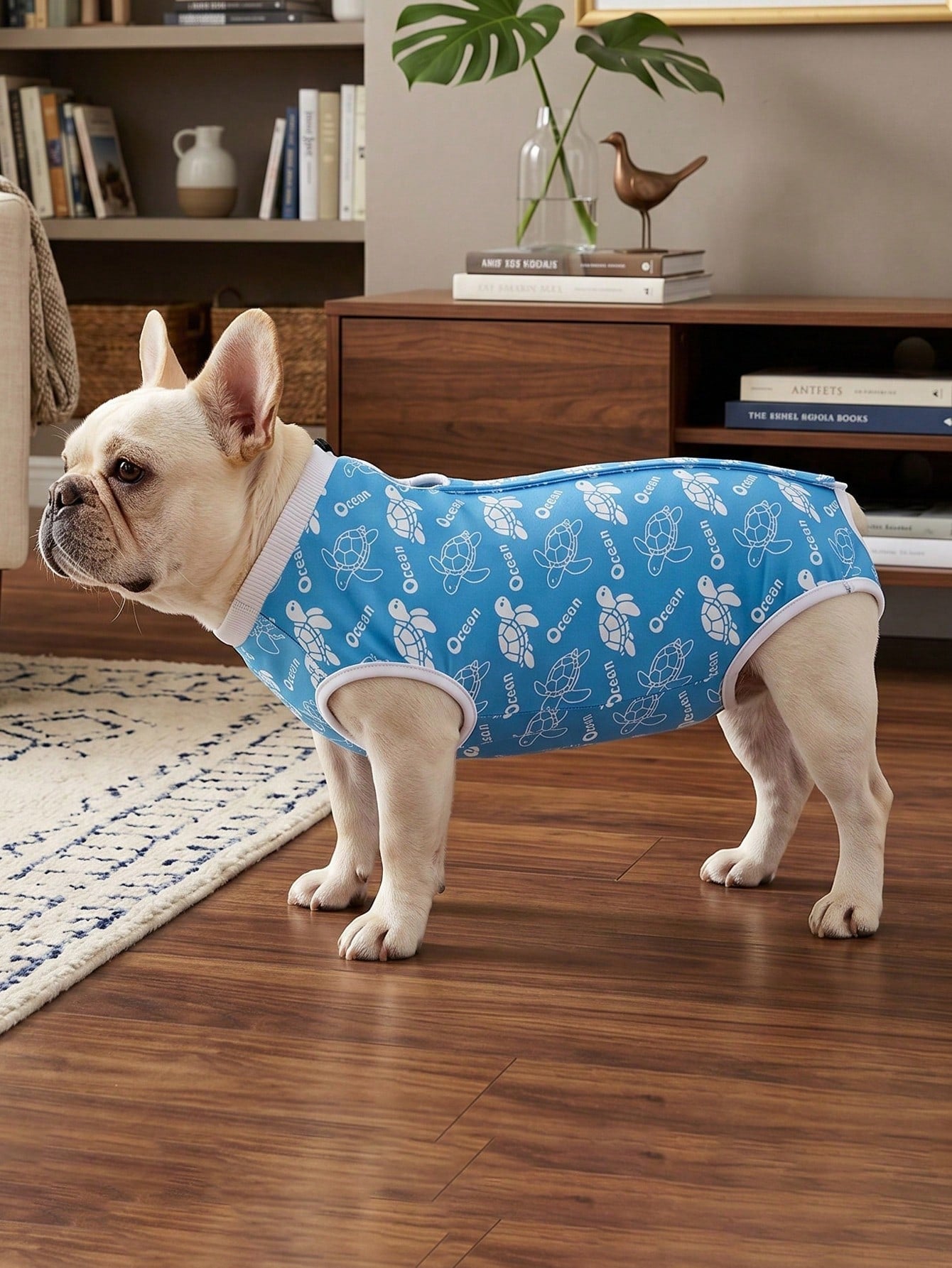 1pc Dog Spay/Neuter Recovery Suit, Breathable Pet Recuperation Clothing For Female/Male Dogs After Surgery Or Weaning