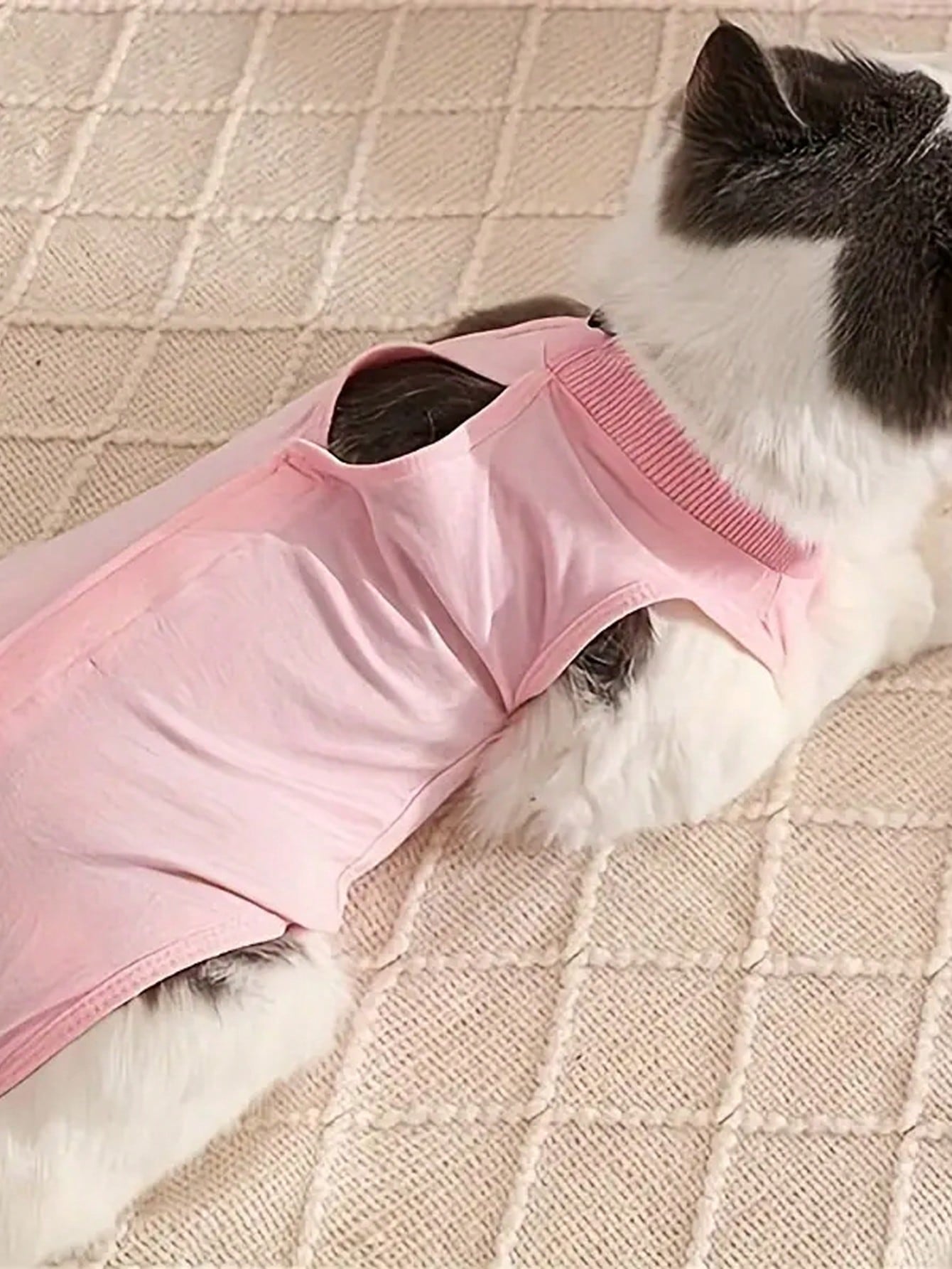 1PC Pet Cat Weaning Clothes For Small Dog Sterilization Jumpsuit Anti-Licking Surgery Recovery Care Suit Puppy Kitten Outfits