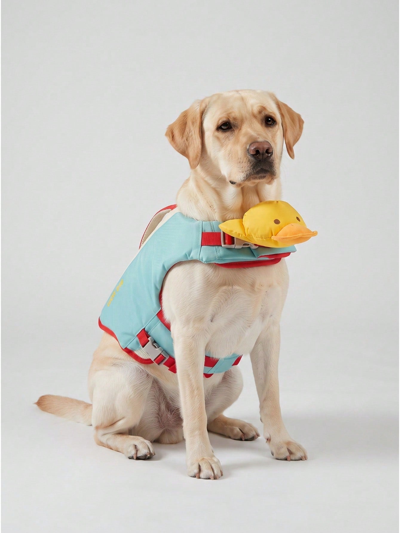 1pc Pet Dog Life Jacket Colorblock With Rescue Handle High Buoyancy Safety Floating Vest Sporty For Summer Beach Pool Chin Rest Support Design