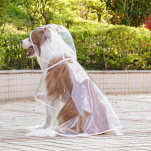 1pc Transparent Waterproof Dog Raincoat, Windproof And Waterproof, Suitable For Small, Medium And Large Dogs, Pet Raincoat, Suitable For Small And Medium Dogs, Teddy Bear And Bichon Frise For Rainy Da