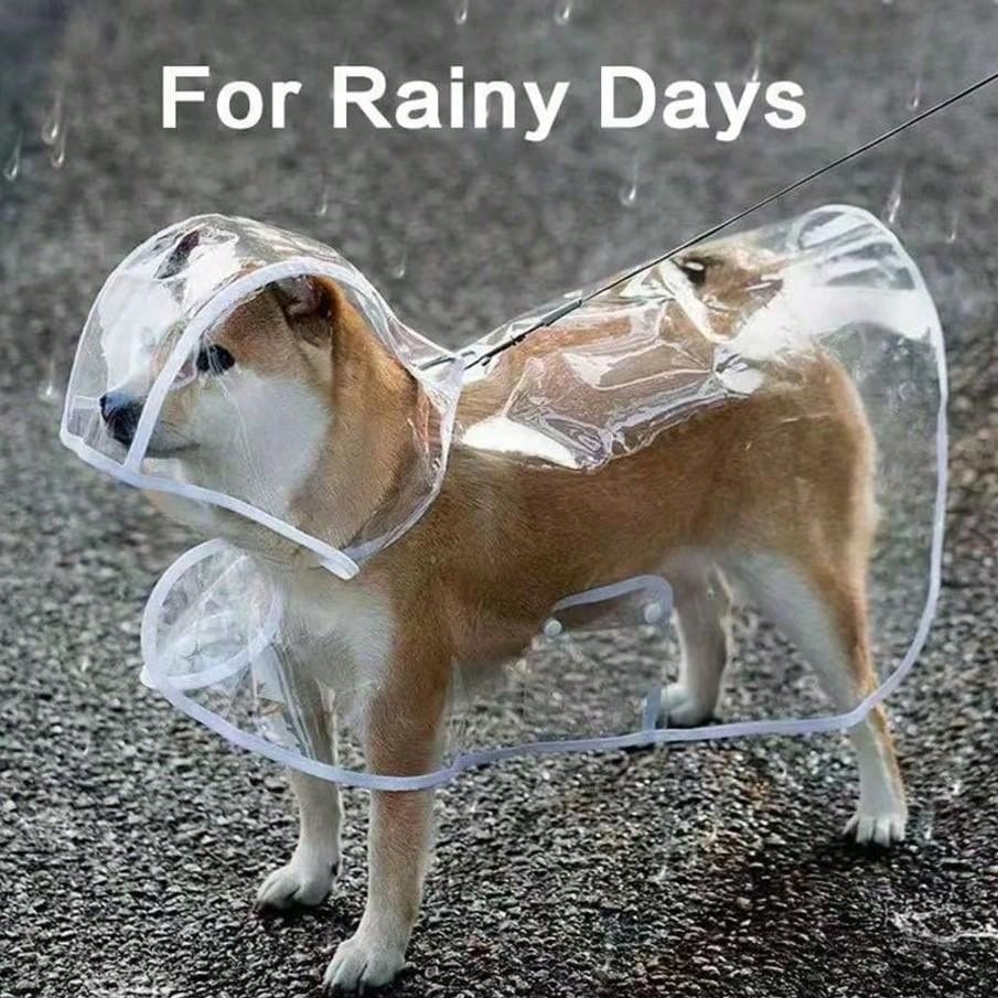 1pc Transparent Waterproof Dog Raincoat, Windproof And Waterproof, Suitable For Small, Medium And Large Dogs, Pet Raincoat, Suitable For Small And Medium Dogs, Teddy Bear And Bichon Frise For Rainy Da