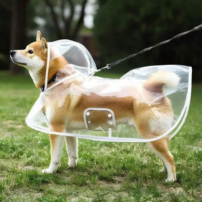 1pc Transparent Waterproof Dog Raincoat, Windproof And Waterproof, Suitable For Small, Medium And Large Dogs, Pet Raincoat, Suitable For Small And Medium Dogs, Teddy Bear And Bichon Frise For Rainy Da