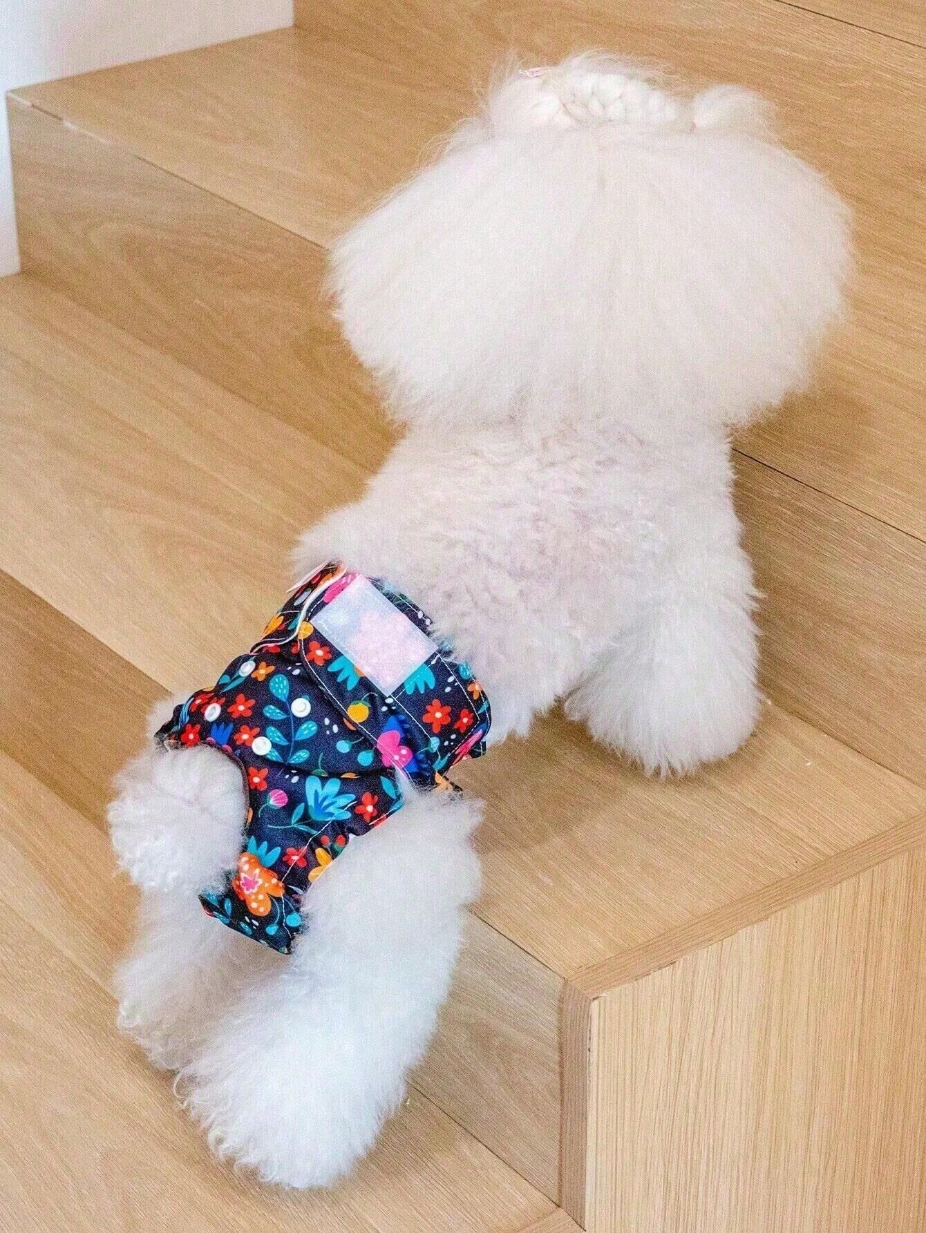 3pcs Reusable Random Print Female Dog Diapers