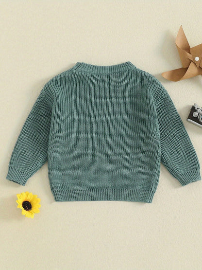 Baby Boy Sweater Long Sleeve Crew Neck Letter Embroidery Knit Tops Newborn Pullover