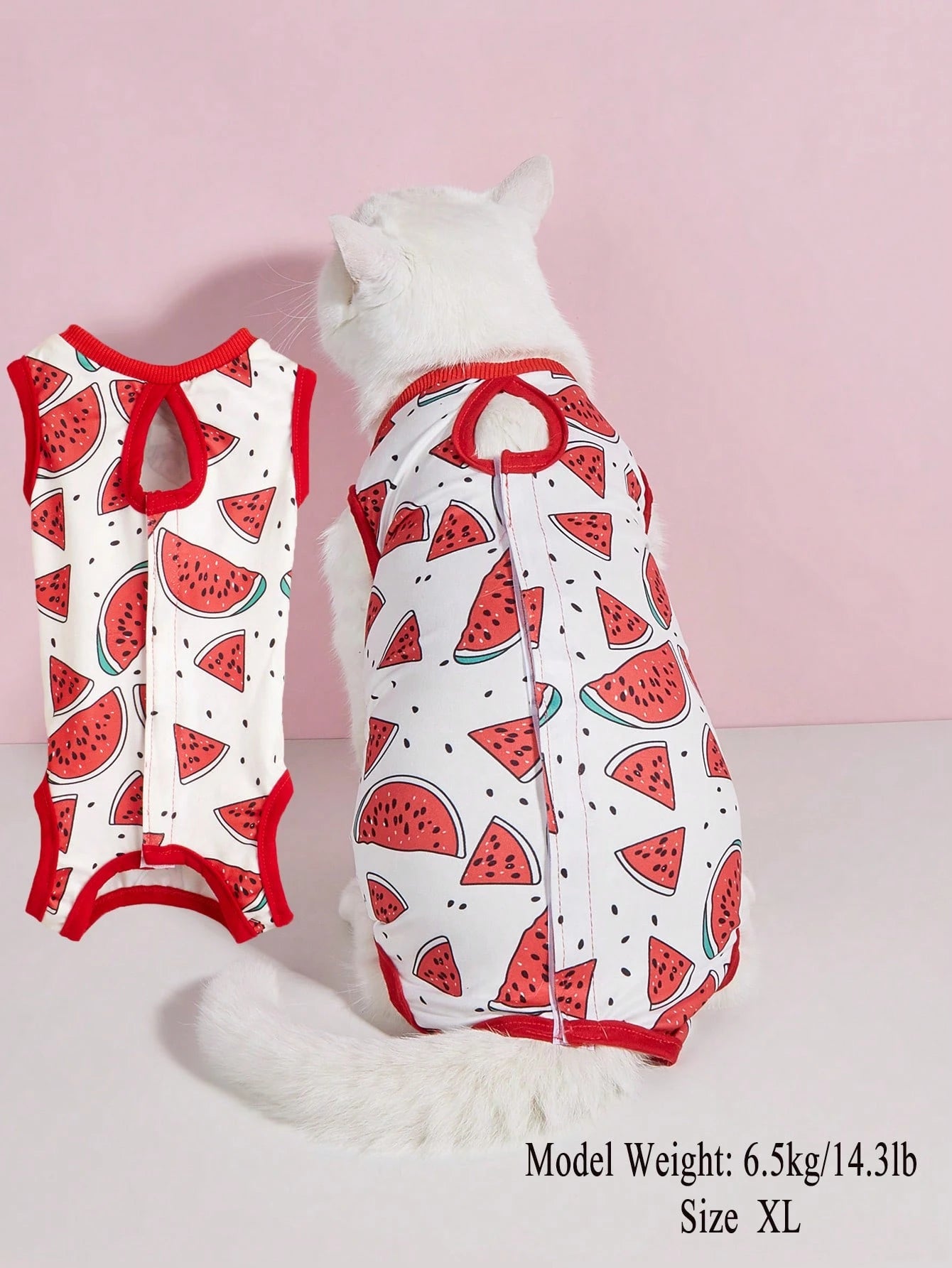 Cat Spay/Neuter Recovery Suit, Female Cat Post-Surgery Clothing, Weaning Suit, Soft Thin 4-Leg Cat Anti-Licking Warm Suit