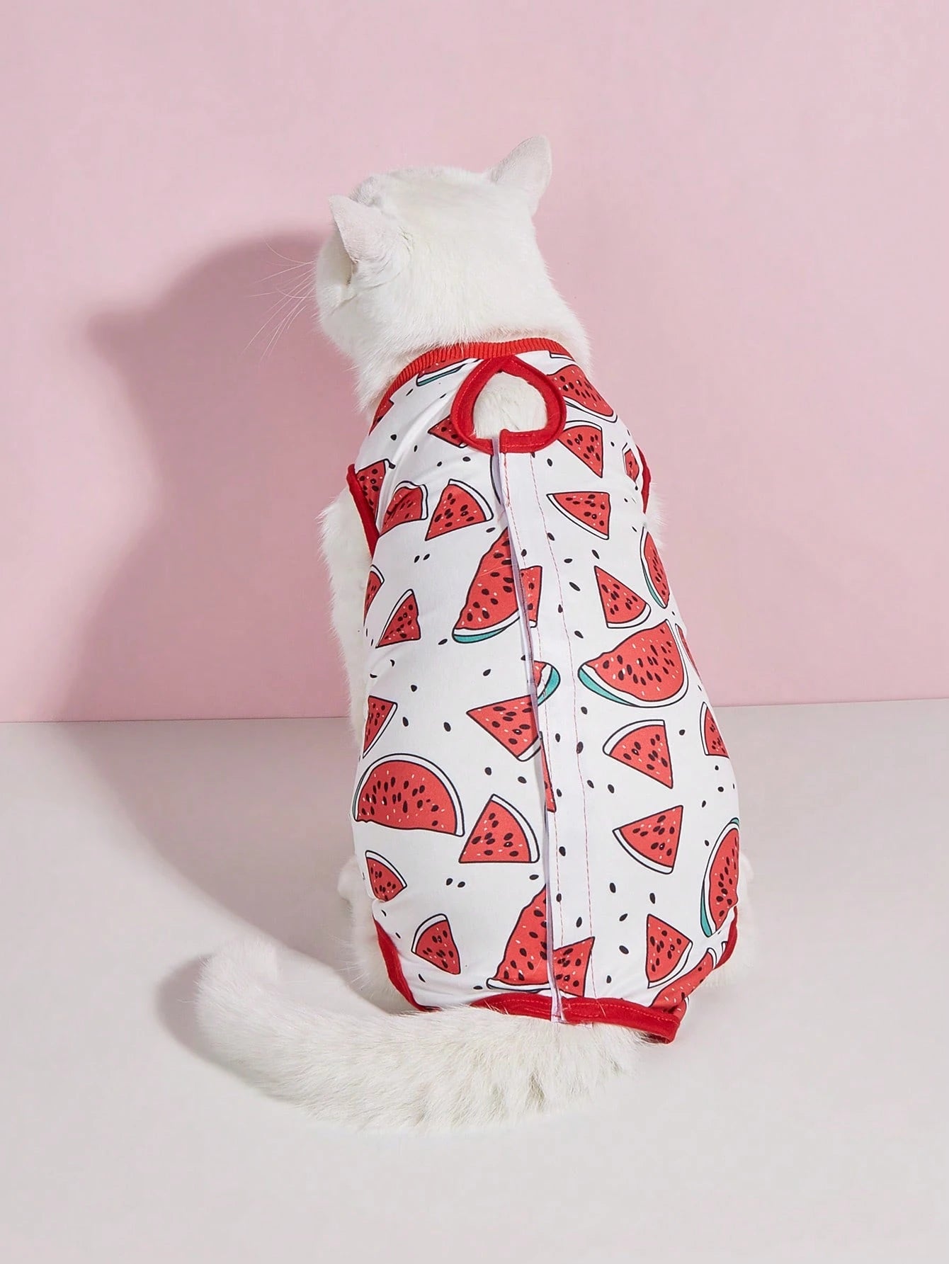 Cat Spay/Neuter Recovery Suit, Female Cat Post-Surgery Clothing, Weaning Suit, Soft Thin 4-Leg Cat Anti-Licking Warm Suit