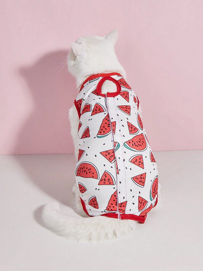 Cat Spay/Neuter Recovery Suit, Female Cat Post-Surgery Clothing, Weaning Suit, Soft Thin 4-Leg Cat Anti-Licking Warm Suit
