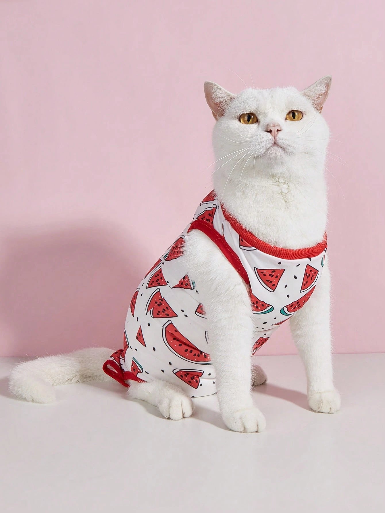 Cat Spay/Neuter Recovery Suit, Female Cat Post-Surgery Clothing, Weaning Suit, Soft Thin 4-Leg Cat Anti-Licking Warm Suit