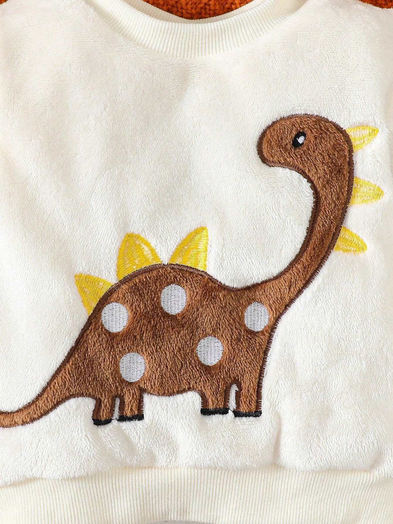 Playful Pals Baby Boy Dinosaur Embroidery Teddy Sweatshirt & Pants