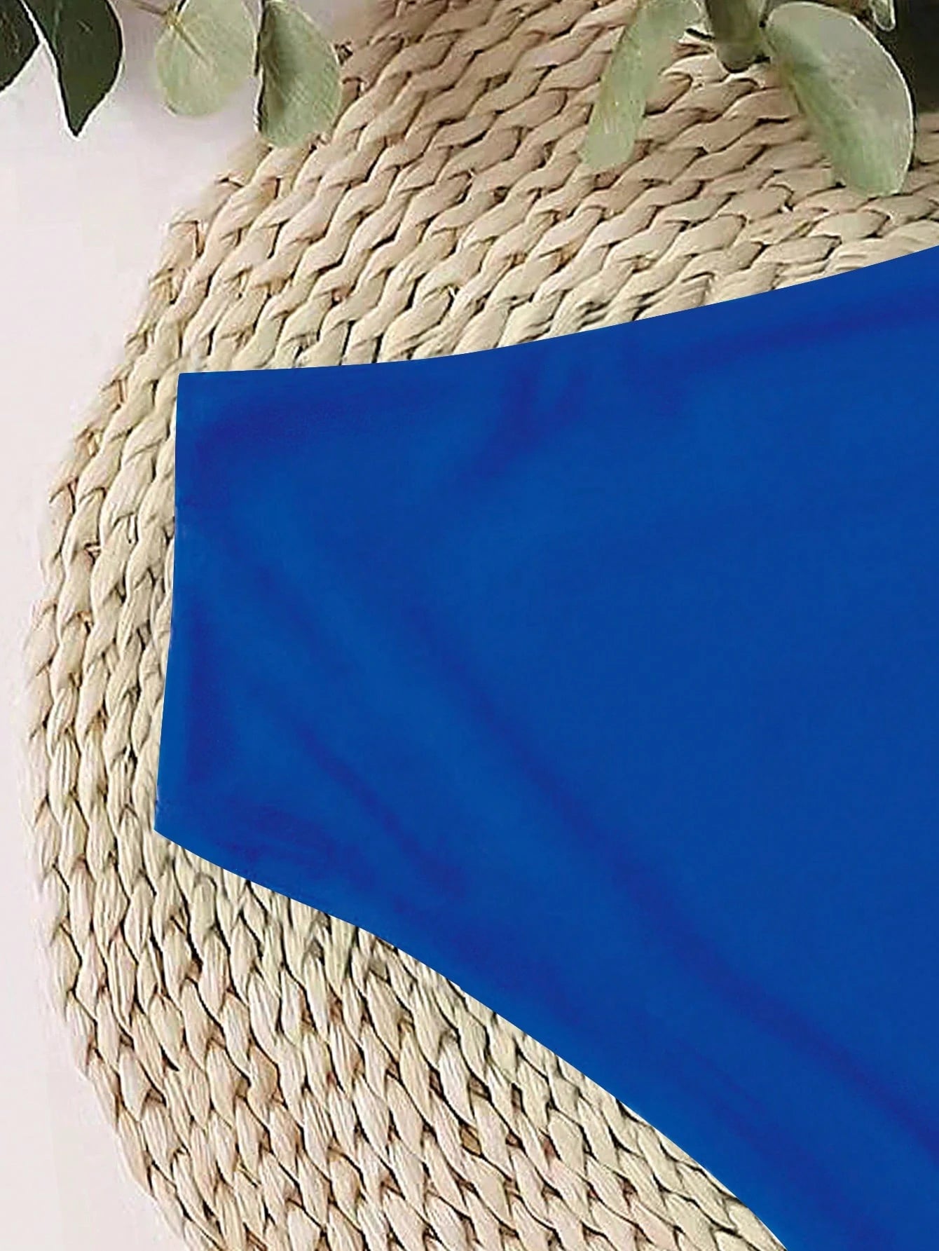 Swim Basics Summer Beach Plain High Waisted Bikini Panty