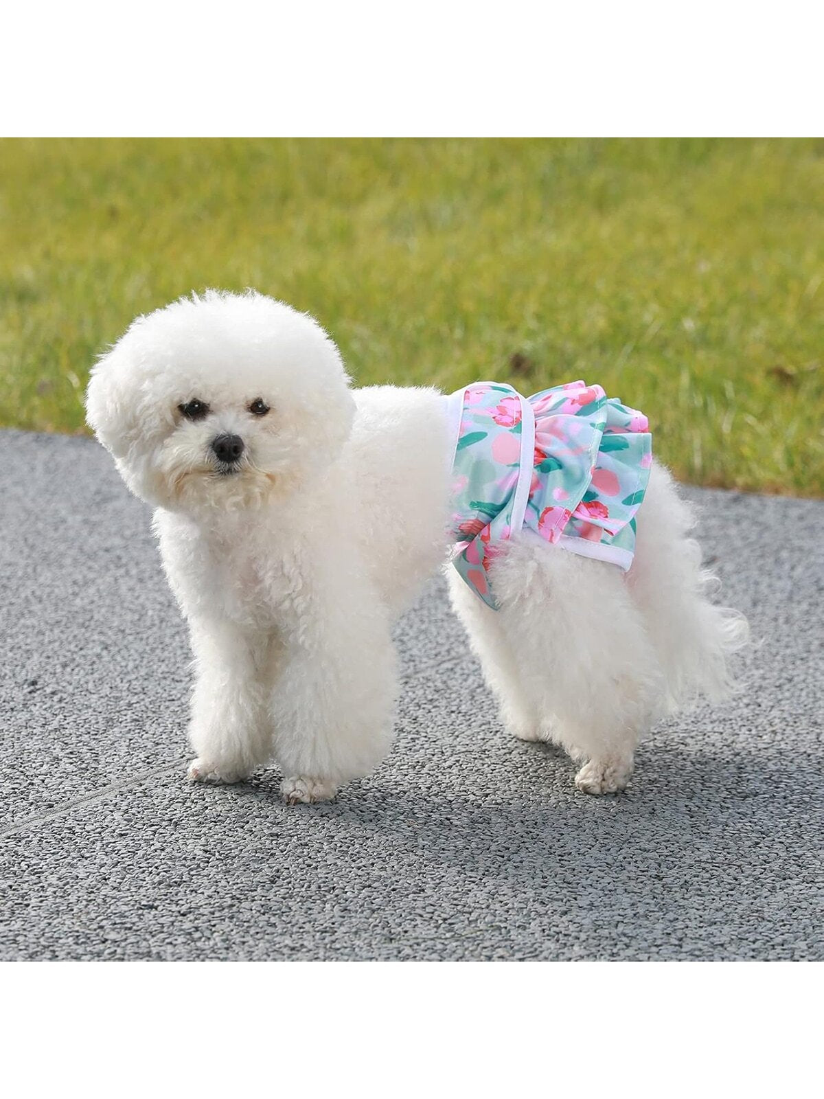 Washable Female Dog Diapers (3 Pack)-No Leak And Harassment Reusable Diapers For Doggy Female In Period-Highly Absorbent With Strong & Flexible Closure