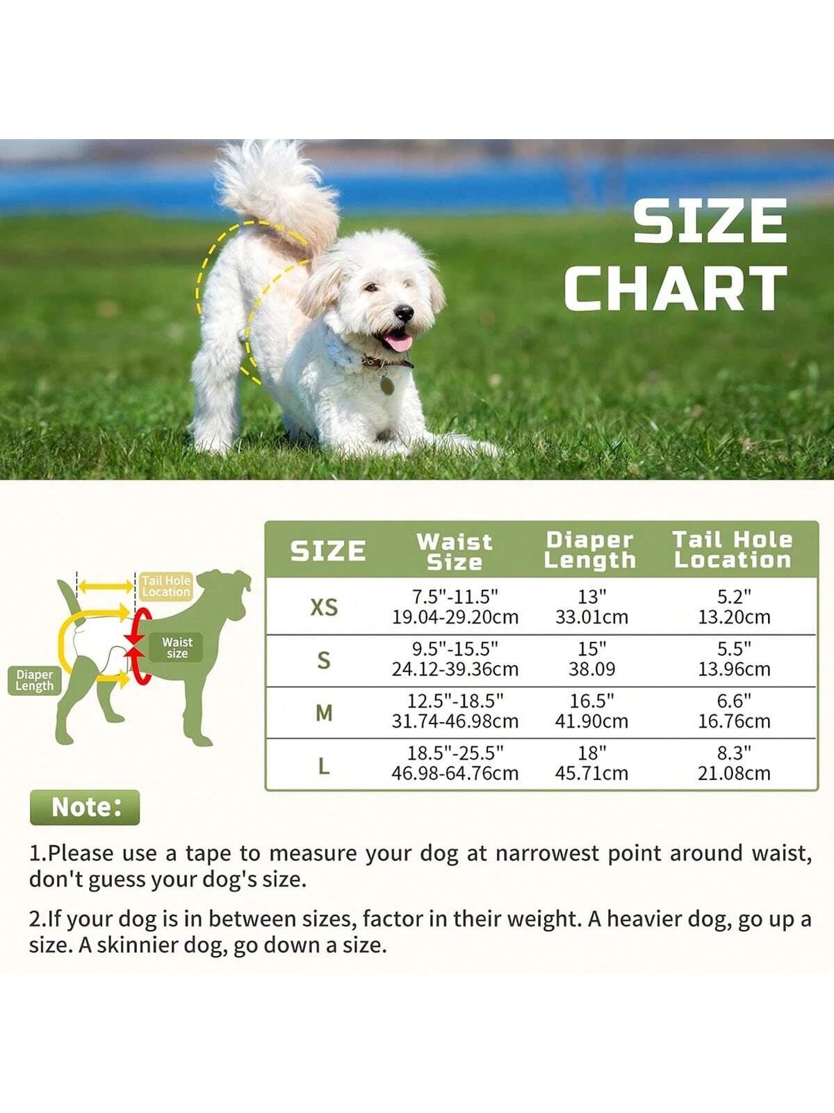 Washable Female Dog Diapers (3 Pack)-No Leak And Harassment Reusable Diapers For Doggy Female In Period-Highly Absorbent With Strong & Flexible Closure